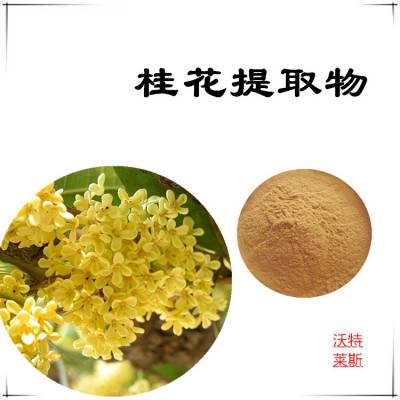 桂花提取物10:1比例提取，桂花粉，桂花速溶粉，桂花提取液，桂花浸膏，1公斤起订，包邮