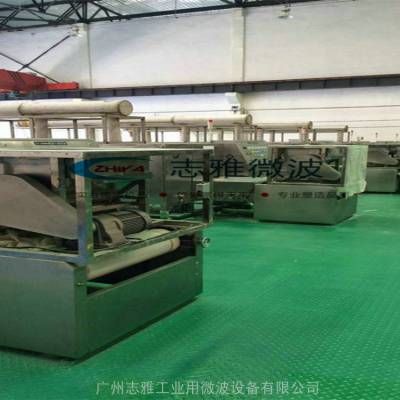广州微波干燥设备、化工原料烘干设备、化工烘干设备 ZY-120HM