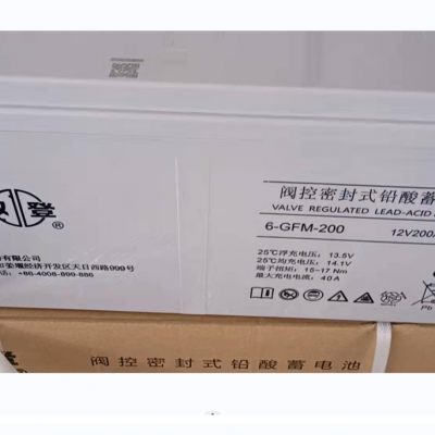 ˫ǷܷʽǦ6-GFM-200C20