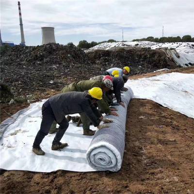 灰堆填埋场水产养殖人工湖防渗漏用膨润土防水毯