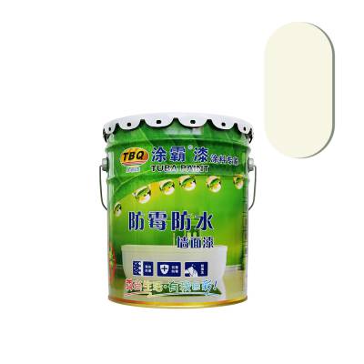 ǽ齺ɫ ƵѧУװǽ齺 ˮǽͿ