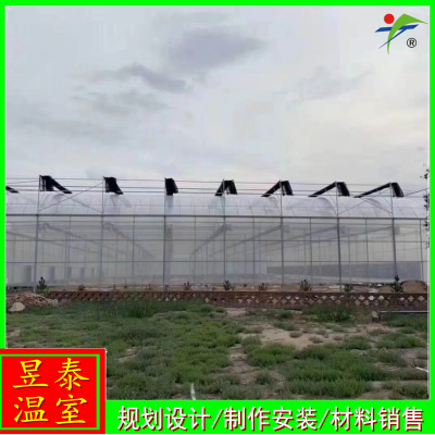 ̩ ֲ߲ Ĥ YTWSGX1913
