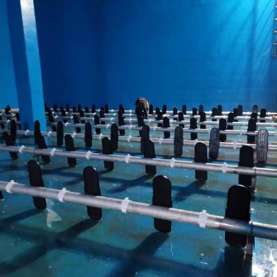 美国SSI曝气器 ECD650-P膜片式可提升曝气板 磁悬浮鼓风机 PTFE膜片式微孔曝气头