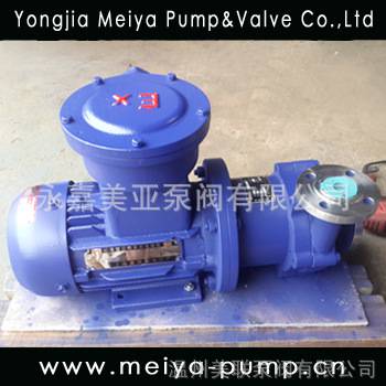 CQ type magnetic driven pump