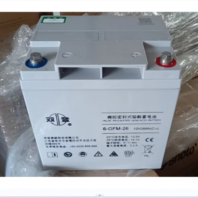 ˫Ǧطܷ6-GFM-65(C10)