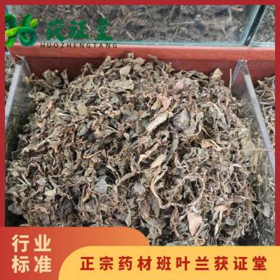 正宗药材班叶兰获证堂 无硫中药材银线莲 原材料蕲蛇药出售