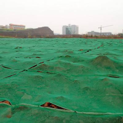 广西南宁防尘盖土网厂家货源建筑盖土网绿色绿化遮阳覆盖网盖沙网工地