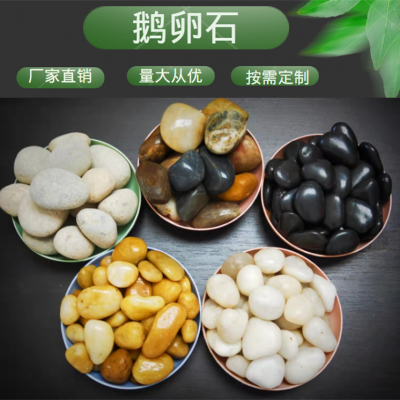 ɫ׹ʯ 껨ʯ ʶʯͥԺ·ů