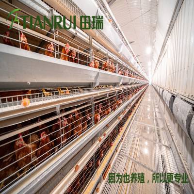 ֳ豸 ʽ豸 ⼦ֳԶ豸