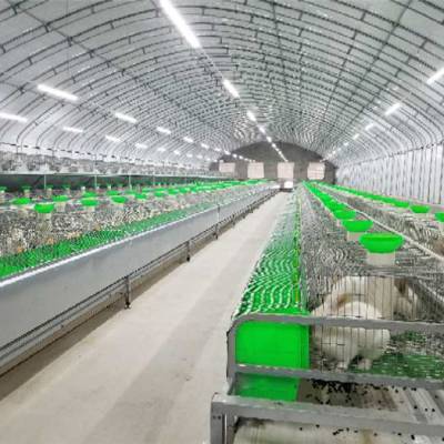 兔舍养兔养兔帅赫