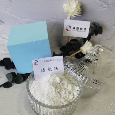 超细碳酸钙1250目 活性碳酸钙 广东源磊粉体纳米碳酸钙粉厂家