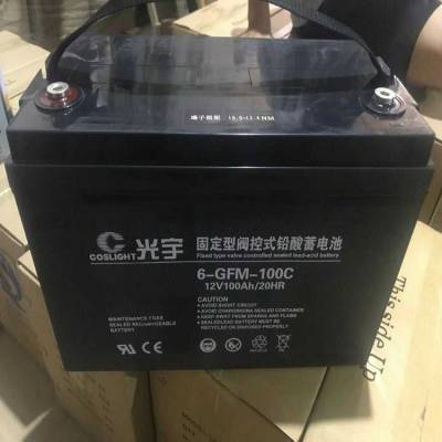  12V100AH 6-GFM-100/ʽǦά