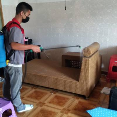 深圳杀臭虫清除臭虫灭绝臭虫恒洋消杀公司