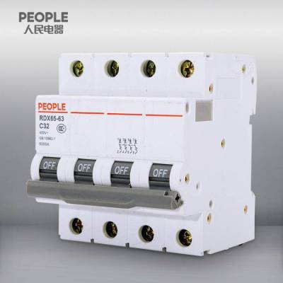 人民电器RDB5-80 1P 小型断路器 80A C型断路器空气开关下单发货