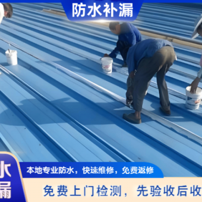 上海柔性防水堵漏工程 上海时铭宣供应