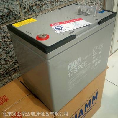 ***FIAMM12SP80/12V80AHֱ
