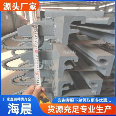 桥梁伸缩缝 支持定制加工 安装更便捷 C型伸缩缝 E型F型 海晨