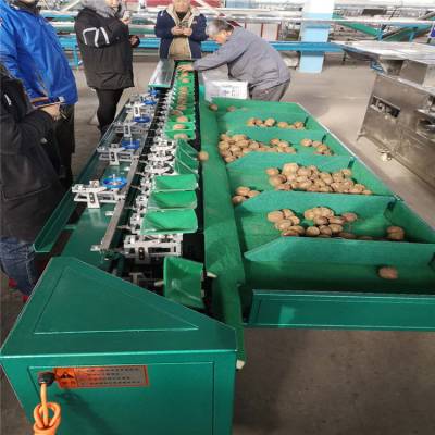 河南马铃薯分大小的机器 水果重量分级机 挑选水果大小的好机器