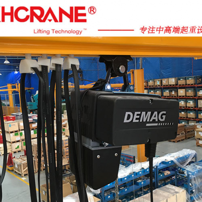 ¹0.25t綯«demag dc-com250kg«DEMAGӦ