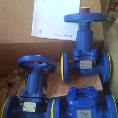 ӦGESTRA ֹط CB26 DN65 PN40Ӣ˹·Ƽ