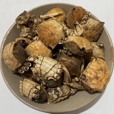 出售中药材方海方蟹厂家销售