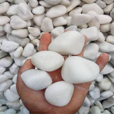 白鹅卵石价格，河北石家庄永顺3-5厘米白鹅卵石批发