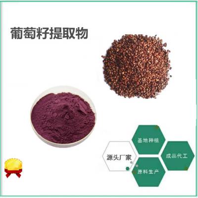 葡萄籽提取物10:1萃取 紫红色粉末 健康安全 可提供样品