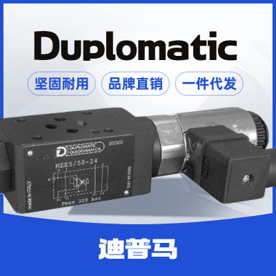 duplomatic MVR-RSֱʽMVR-RS/P/50V