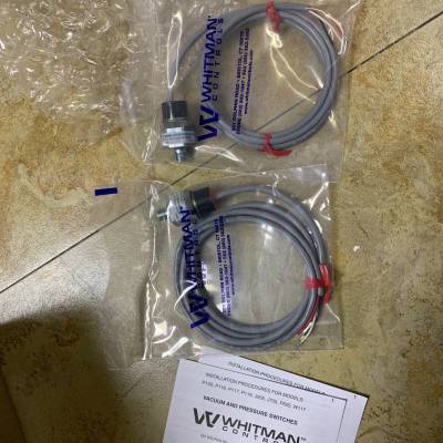 优势供应美国Whitman Controls 开关 P119G-10H-K521L-X30287