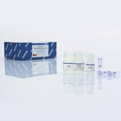Qiagen 28004 PCR﴿Լ 50T