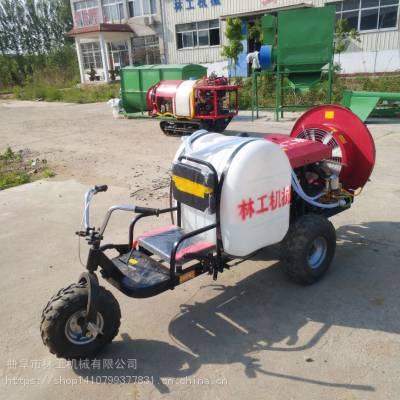 乘坐式果树风送打药机厂家