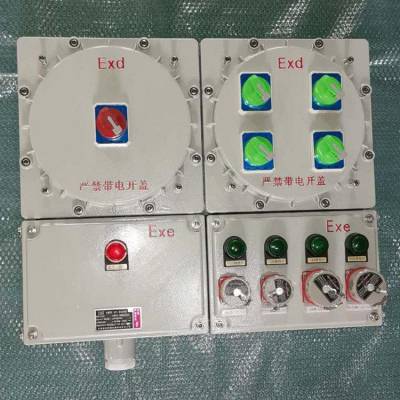 IIC防爆照明动力配电箱 户内使用配电控制设备定制