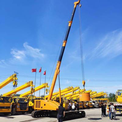 吊物行走吊 工程履带式吊车 履带随车吊 25吨链轨式起重机