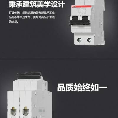 ȫԭװABB΢͸뿪 SD202/16 2P 16Aӭѡ
