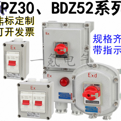 BDZ52粉尘防爆断路器厂家 220v380v铸铝空气开关 防腐漏电配电箱