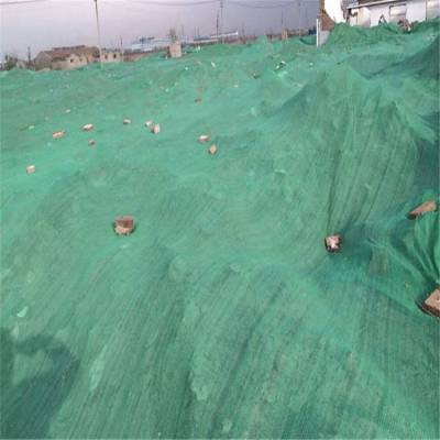 建筑工程用绿网 工地盖裸土绿网 砂石料厂遮盖网