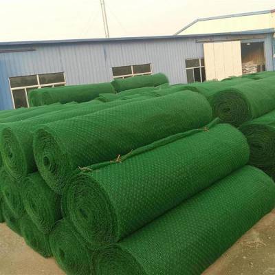 湖州加筋三维植被网山坡绿化河道治理铁路高速公路三维网植草护坡