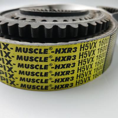 PIX MUSCLE 4RH3VX710 进口联组三角带