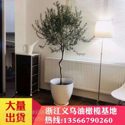 辰С