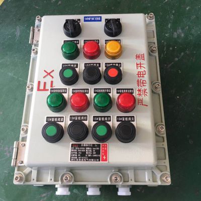 BZC51-A2D2Lƶťʽ
