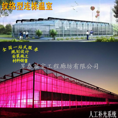 植物补光灯生长灯高压钠灯昱泰温室大棚YTWSBG2028