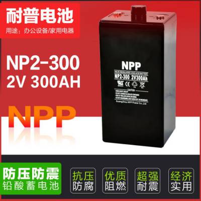 NPP耐普蓄电池NP2-300ah 2V300AH阀控密封式铅酸