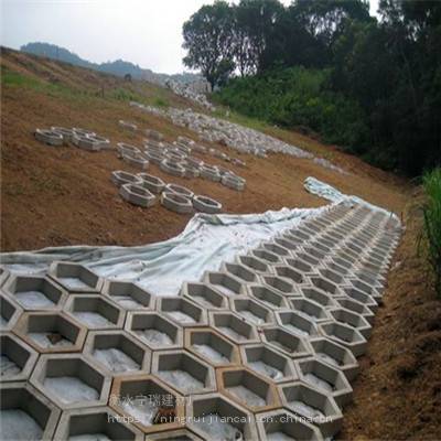 河北省衡水市护坡砖厂家