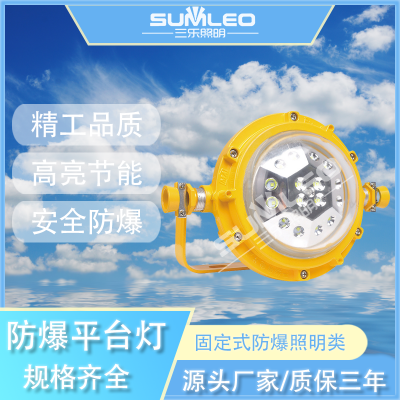 LED防爆灯100w150W投光灯仓库厂房户外照明泛光灯防水射灯巷道灯