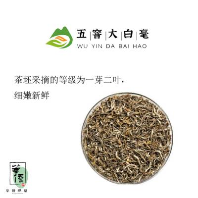 意利五窨大白毫茉莉绿茶新荣阳绿茶