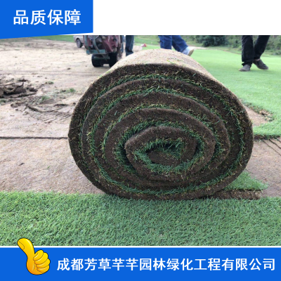 伾ͼӱƺ_Сӱƺ_ͺӱƺ۸