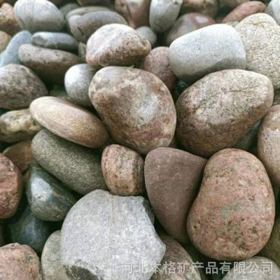 天然鹅卵石 水过滤鹅卵石 盆景铺面用鹅卵石  本格厂家提供