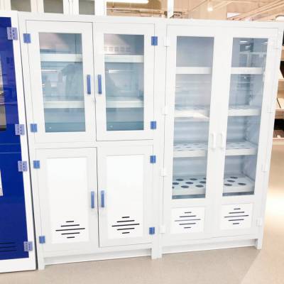 莱纳特药品柜 PP耐酸碱试剂柜 医院药品存放柜 多种规格 实验室家具