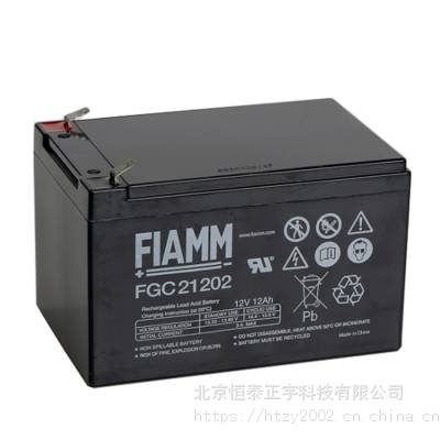 FIAMM蓄电池FGC21202 ***蓄电池 12V12AH UPS电源 EPS应急电源配套