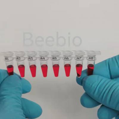 beebioӡPCR 8